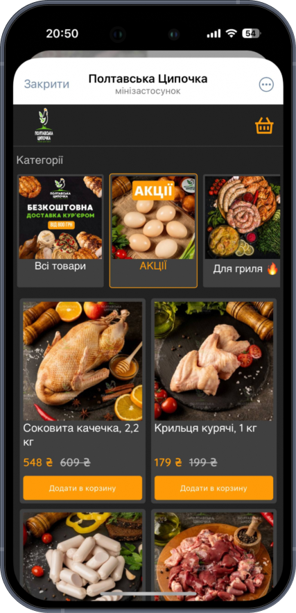 Демонстрація чат-бот Полтавська Ципочка 2