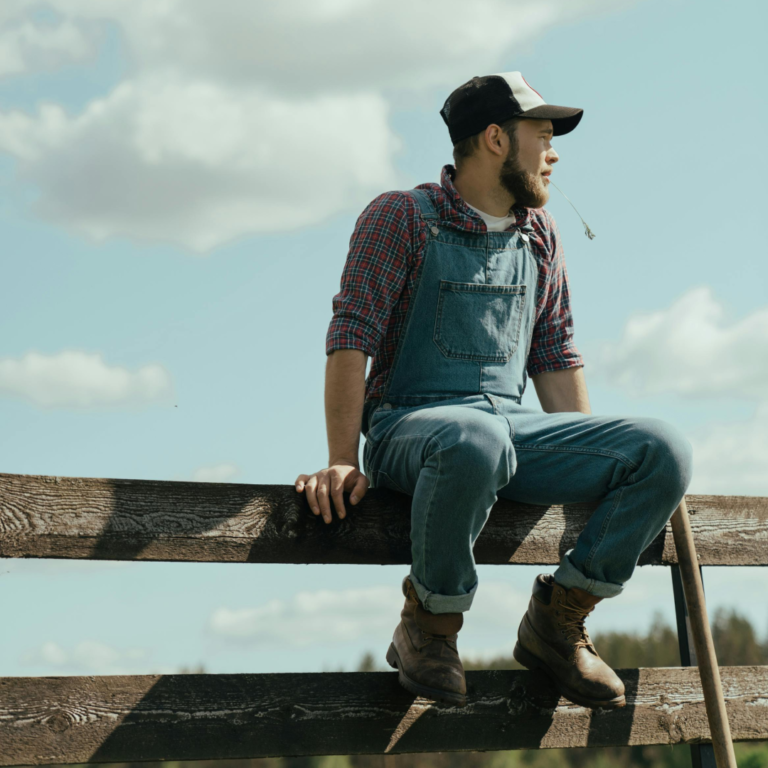 Чат-бот для фермера