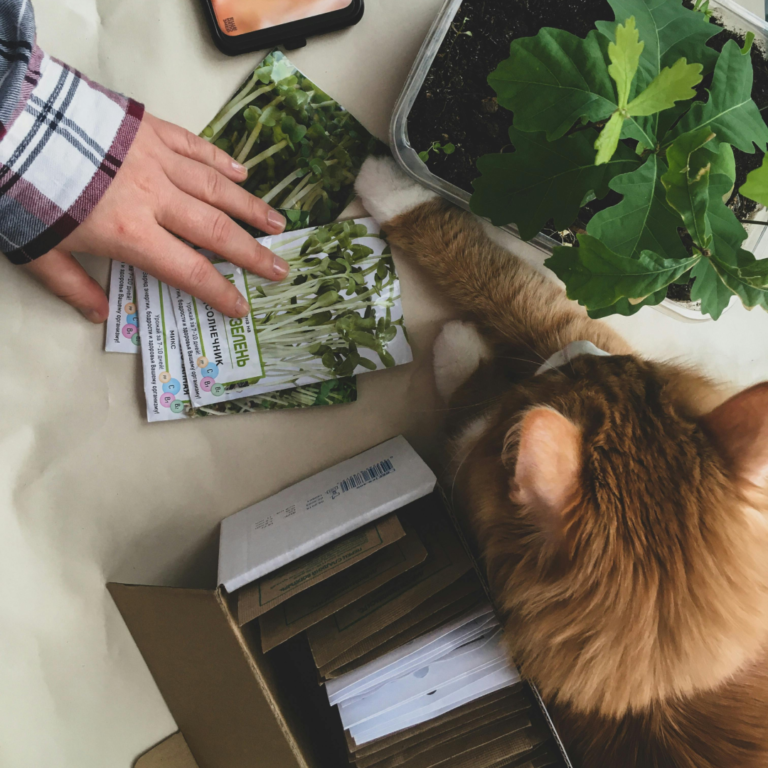 Чат-бот для магазину насіння та добрив